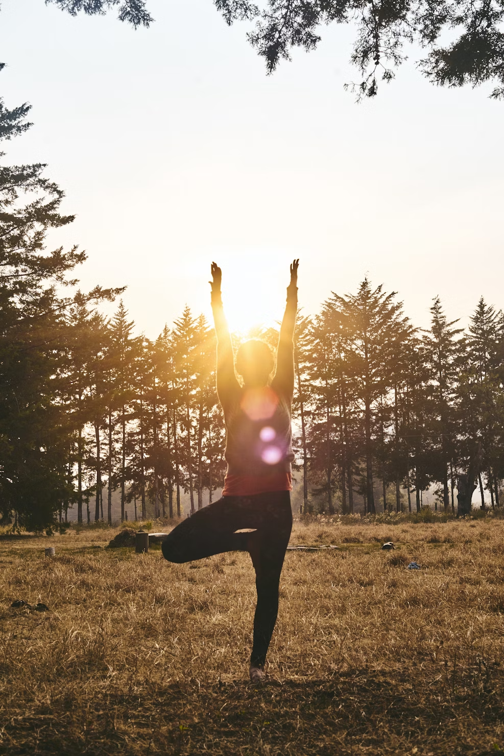 A person performing a yoga tree pose in a field with a forest and a bright sun flare in the background.